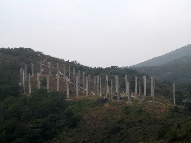 山坡上的心經簡林木柱