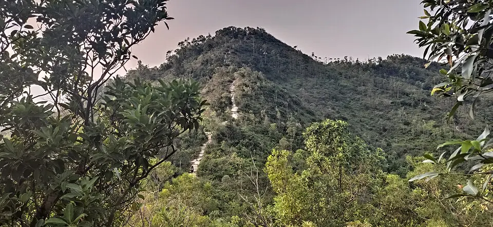 Black Hill · 五桂山