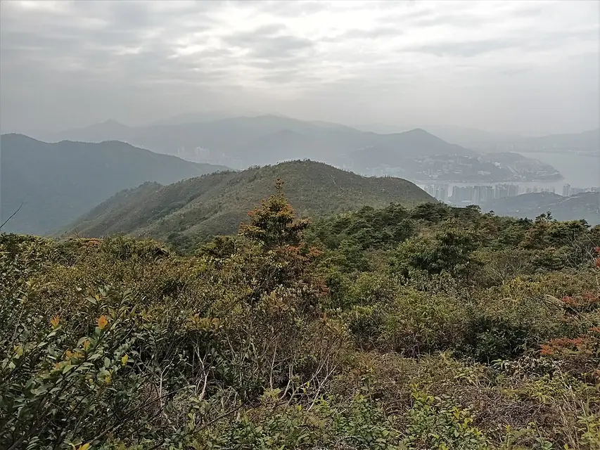 Luk Chau Shan · 鹿巢山