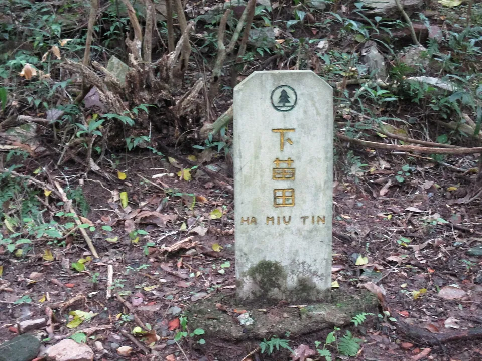 A weathered stone marker carved with 下苗田 HA MIU TIN among trees and leaf litter.