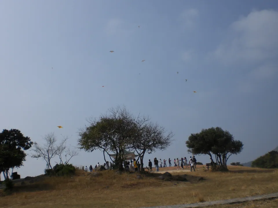 A grassy hilltop with dry winter grass, three spreading trees and a small pavilion; groups of people stand along the crest and kites fly in a hazy blue sky.