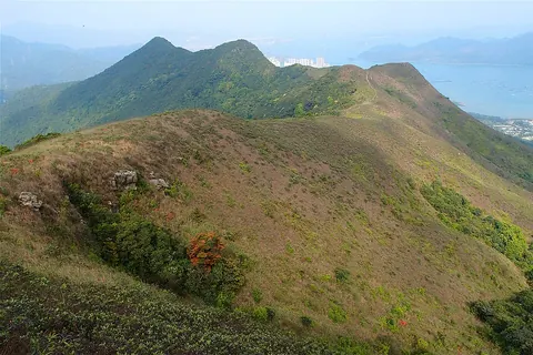 West ridge of Hung Fa Chai, Robin's Nest