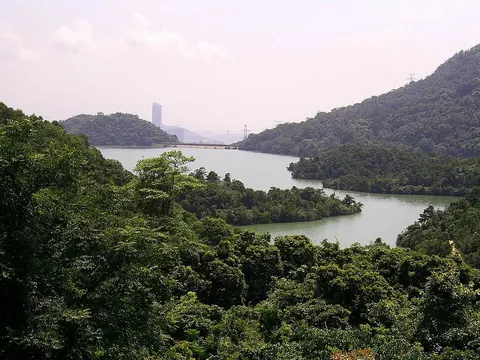 Shing Mun Reservoir