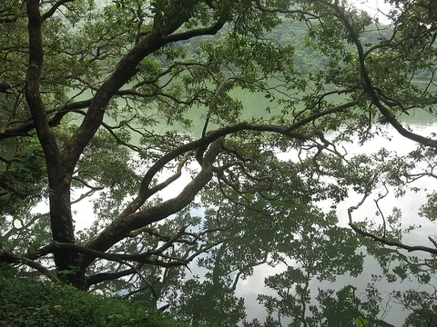 Shing Mun Reservoir near Pineapple Dam