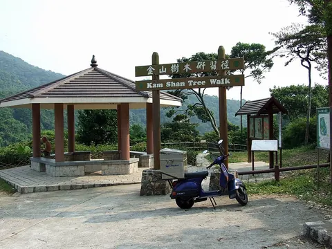 Kam Shan Tree Walk