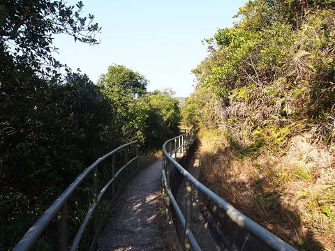 Pottinger Peak catchwater path